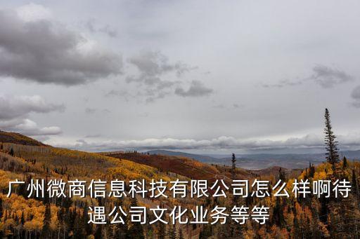 廣州微商信息科技有限公司怎么樣啊待遇公司文化業務等等