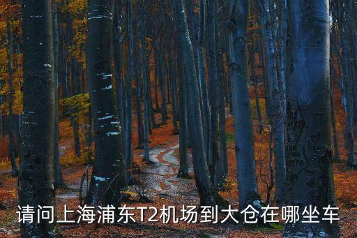 請(qǐng)問上海浦東T2機(jī)場到大倉在哪坐車