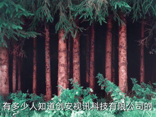 有多少人知道創安視訊科技有限公司的