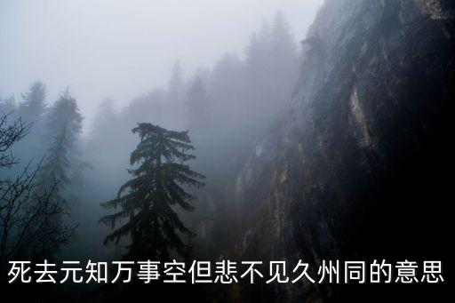 死去元知萬事空但悲不見久州同的意思