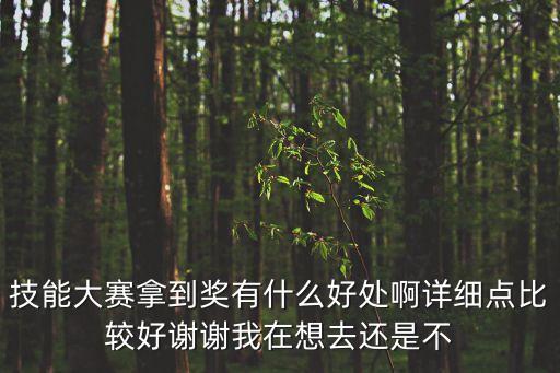 技能大賽拿到獎有什么好處啊詳細點比較好謝謝我在想去還是不