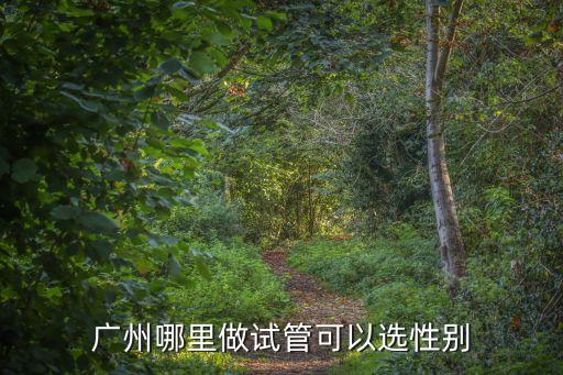 廣州哪里做試管可以選性別