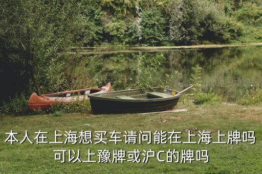 本人在上海想買車請問能在上海上牌嗎可以上豫牌或滬C的牌嗎