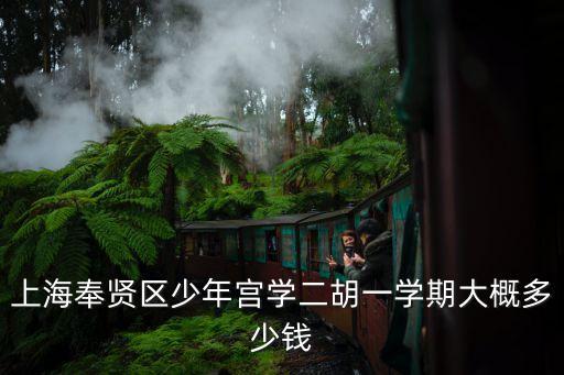 上海市少年宮費用，上海奉賢區(qū)少年宮學(xué)二胡一學(xué)期大概多少錢