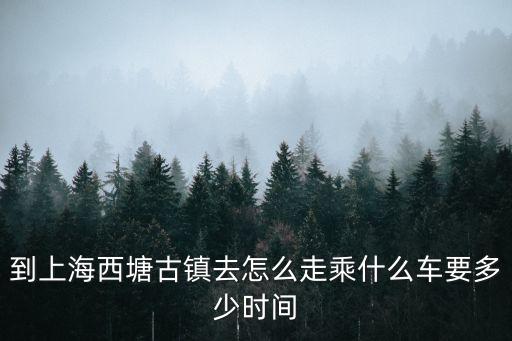 上海市嘉善縣西塘古鎮，上海西塘古鎮在哪里