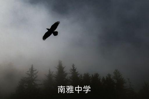廣州雅居樂南雅中學，雅居樂中學是不是公辦的