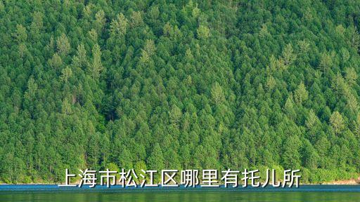 上海市松江桐涇托兒所，松江泗涇有哪些幼兒園