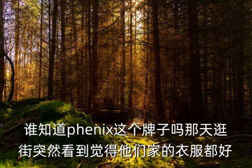 phenix 腹直肌 廣州，phenix品牌一般都什么價位有了解這個品牌的嗎給介紹下