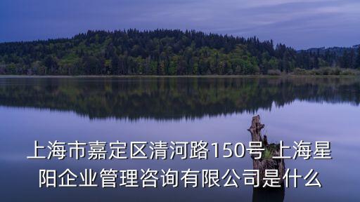 上海市嘉定區清河路150號 上海星陽企業管理咨詢有限公司是什么