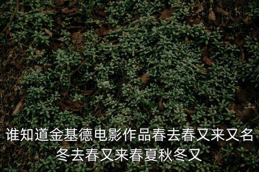 誰(shuí)知道金基德電影作品春去春又來(lái)又名冬去春又來(lái)春夏秋冬又