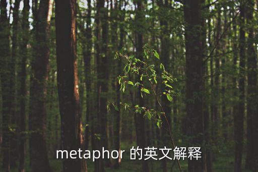 metaphor 的英文解釋