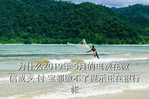 為什么2019年 5月的電費(fèi)在微 信或支 付 寶都繳不了提示正在銀行帳