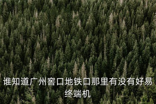 誰知道廣州窖口地鐵口那里有沒有好易終端機