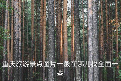 重慶的圖片，那個重慶萬盛的圖片呢