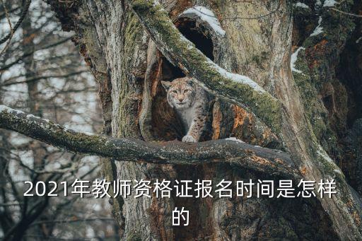 教師資格證時間，教師資格證什么時候考試