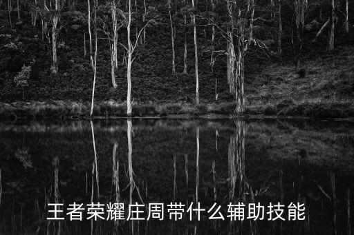 莊周技能，王者榮耀莊周帶什么輔助技能