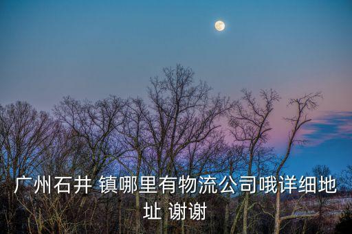 廣州石井鎮(zhèn)貨物裝卸碼頭，廣州有哪些碼頭 可以從事散貨裝卸的