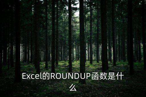 roundup函數是什么意思，round up 的意思