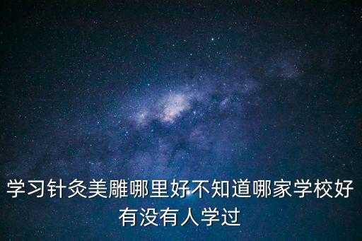 學(xué)習(xí)針灸美雕哪里好不知道哪家學(xué)校好有沒有人學(xué)過
