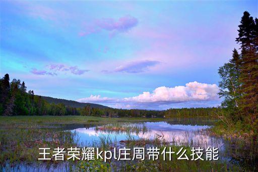 王者榮耀kpl莊周帶什么技能