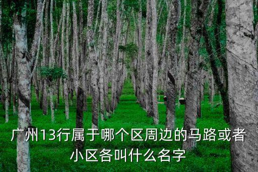 廣州13行屬于哪個(gè)區(qū)周邊的馬路或者小區(qū)各叫什么名字
