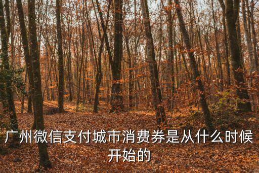 廣州微信支付城市消費券是從什么時候開始的