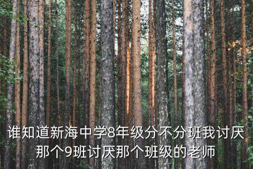 上海市崇明區新海鎮新海學校老師，誰知道新海中學8年級分不分班我討厭那個9班討厭那個班級的老師
