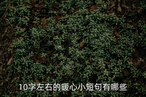 10字左右的暖心小短句有哪些