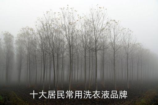 十大居民常用洗衣液品牌