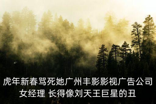 姜美伊 廣州，虎年新春罵死她廣州豐影影視廣告公司女經理 長得像劉天王巨星的丑