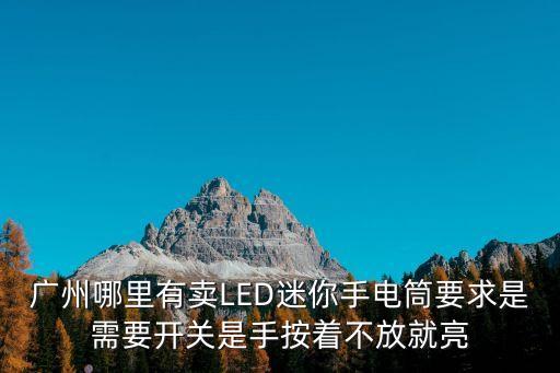廣州哪里有賣LED迷你手電筒要求是需要開關是手按著不放就亮