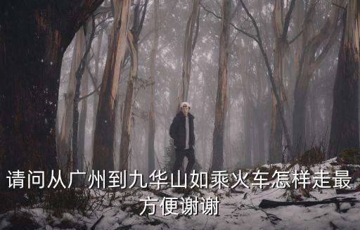 廣州有高鐵到九華山嗎，請(qǐng)問(wèn)從廣州到九華山如乘火車(chē)怎樣走最方便謝謝