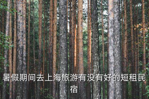 上海市閑置房發展民宿，暑假期間去上海旅游有沒有好的短租民宿