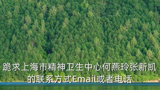 上海市普陀區精神衛生中心副院長，上海心理醫生