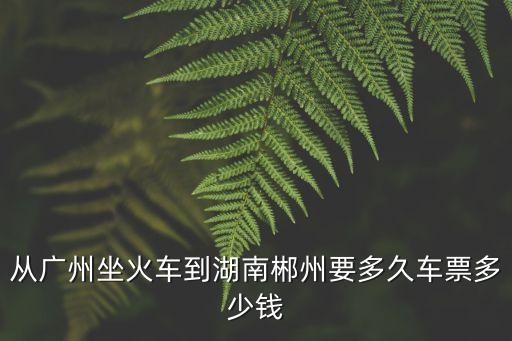 從廣州坐火車到湖南郴州要多久車票多少錢