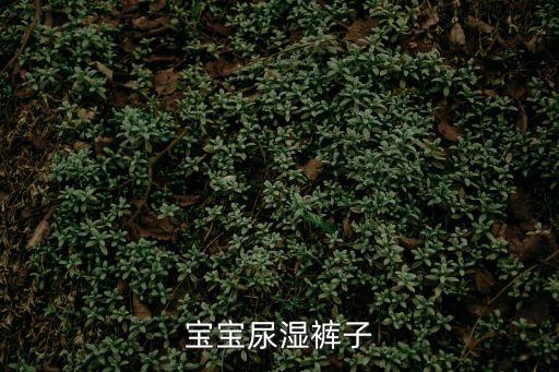 嬰兒尿褲，嬰兒紙尿褲