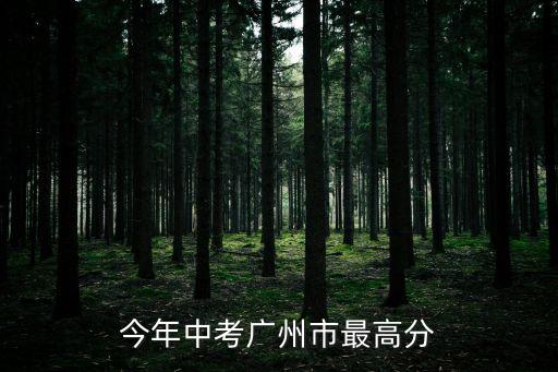 今年中考廣州市最高分