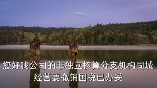 您好我公司的非獨立核算分支機構同城經營要撤銷國稅已辦妥