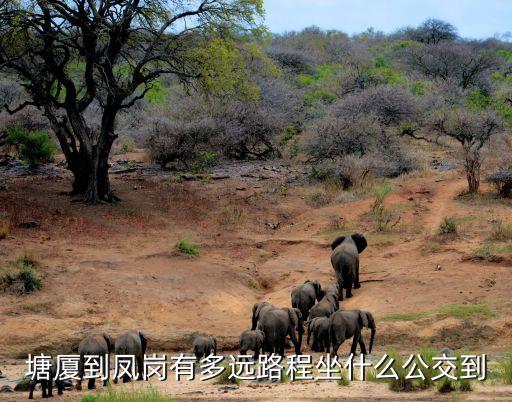 廣州塘廈離鳳崗遠(yuǎn)嗎，鳳崗在哪里離塘夏遠(yuǎn)嗎