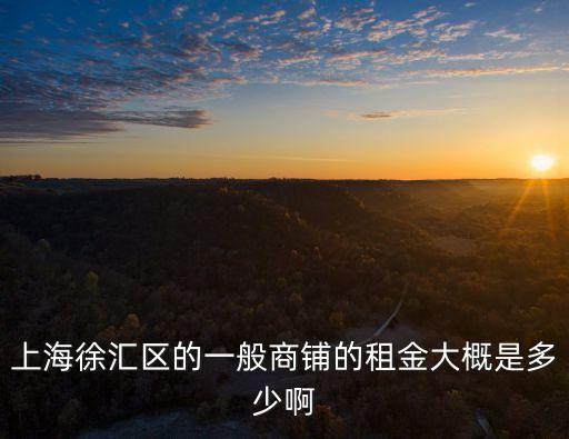 上海徐匯區的一般商鋪的租金大概是多少啊