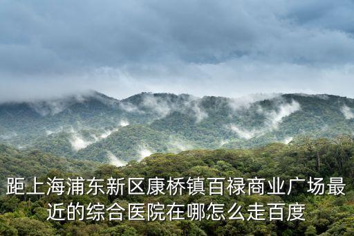 距上海浦東新區康橋鎮百祿商業廣場最近的綜合醫院在哪怎么走百度