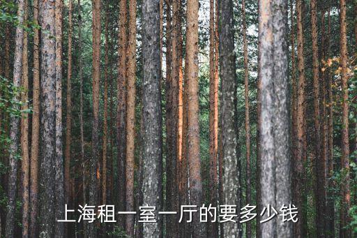 上海市光四村一室房租，在上海租個一室要多少錢一個月