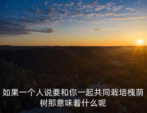 槐蔭樹，如果一個人說要和你一起共同栽培槐蔭樹那意味著什么呢