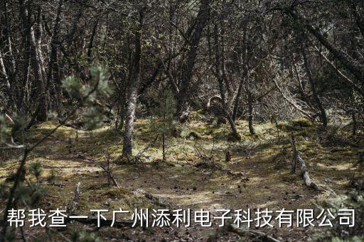 幫我查一下廣州添利電子科技有限公司