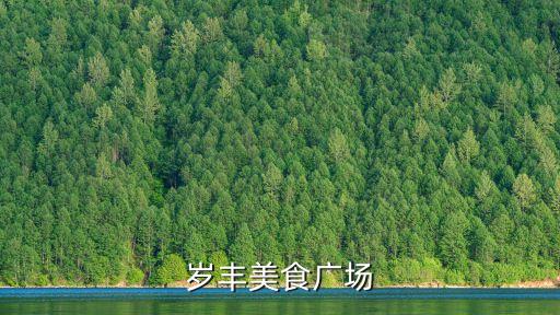 歲豐美食廣場