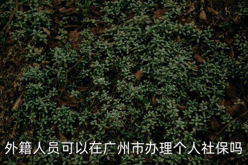 廣州外籍人士保障，廣州外來人口綜合保險(xiǎn)查詢