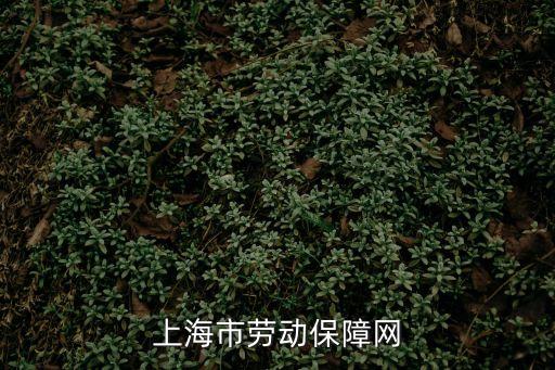 上海市勞動(dòng)保障網(wǎng)