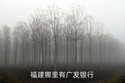 福建哪里有廣發銀行
