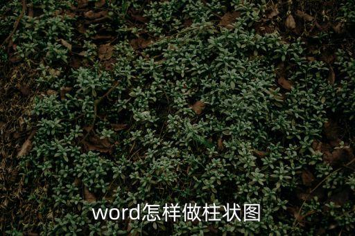 word怎樣做柱狀圖