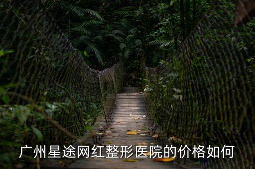廣州星途網紅整形醫院的價格如何